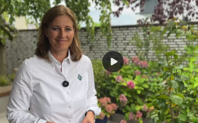 Service Excellence | Meine Gedanken für Sie!